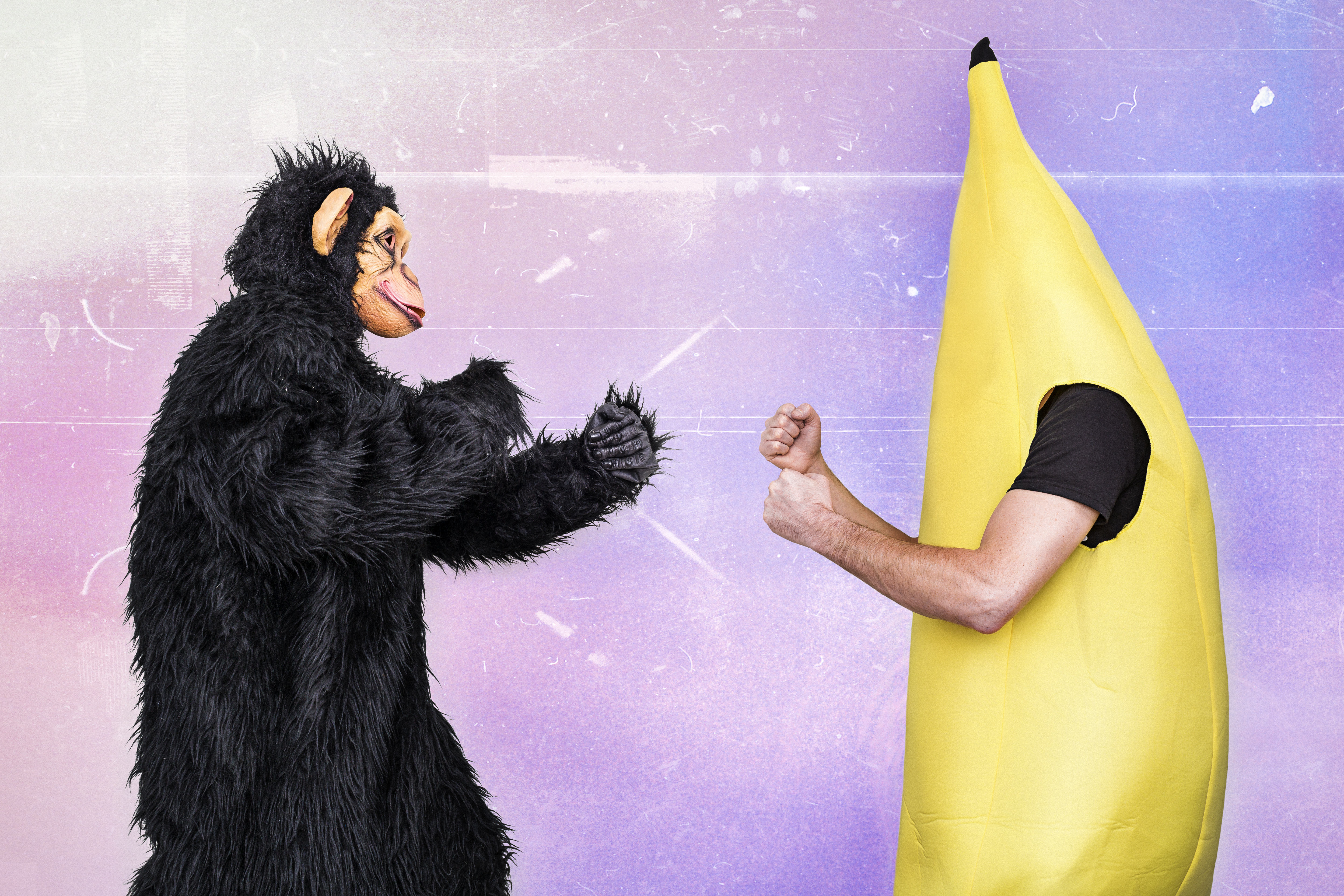 mono y platano luchando