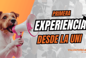 Primer Trabajo Después de la Uni