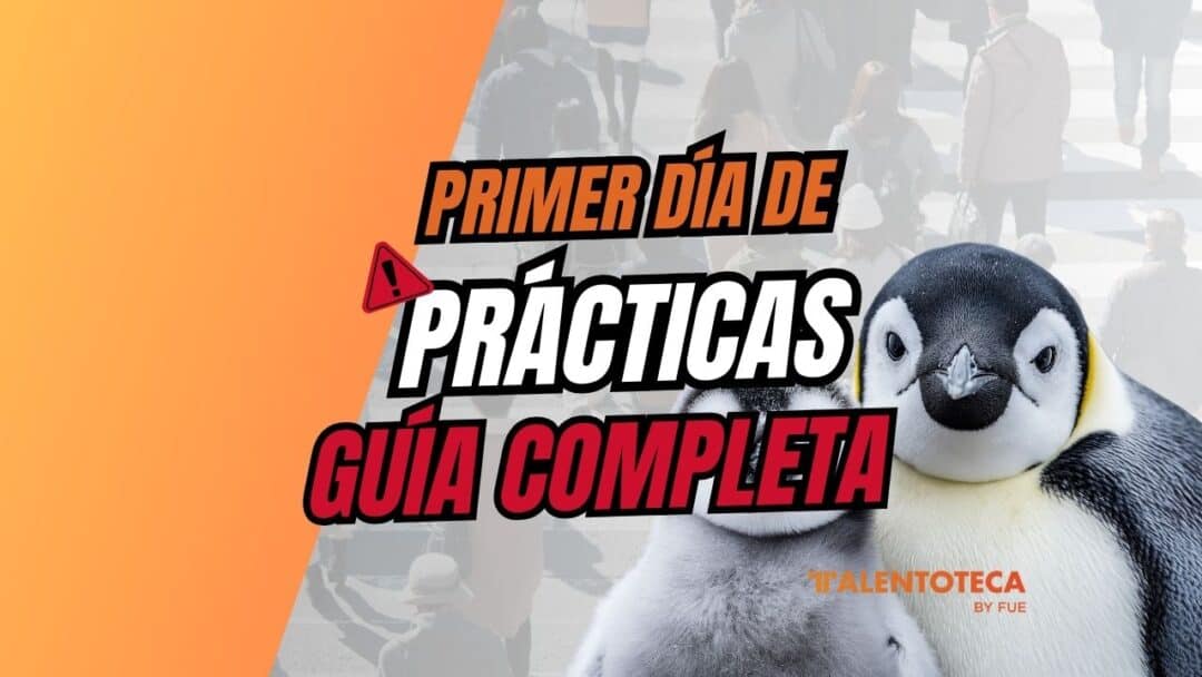 como conseguir prácticas en empresas