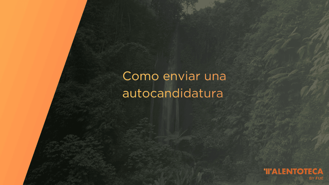 Como enviar una autocandidatura