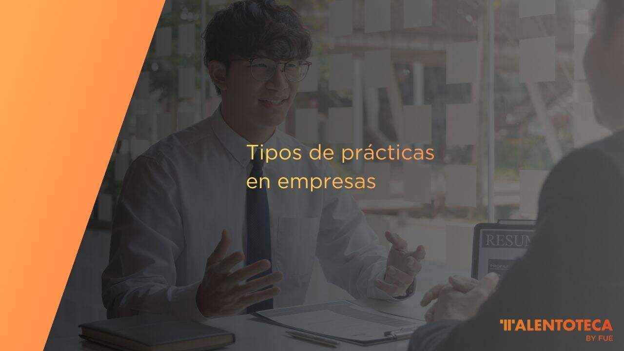 Tipos de prácticas en empresas